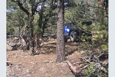 8260 County Road 28, Cotopaxi, CO 81223 - Photo 25