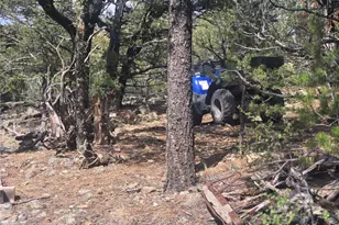 8260 Co Rd 28, Cotopaxi, CO 81223 - Photo 25
