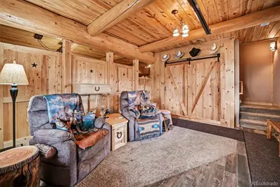 28 Juniper Way, Bailey, CO 80421 - Photo 13
