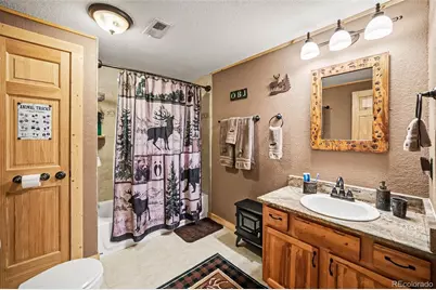 28 Juniper Way, Bailey, CO 80421 - Photo 17