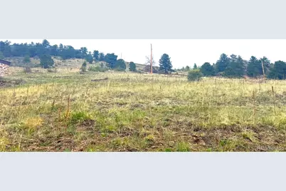 0003 Eureka St, Central City, CO 80427 - Photo 31