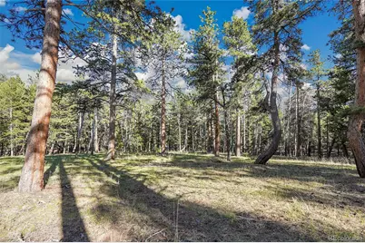 Molly Dr, Lot #3, Conifer, CO 80433 - Photo 3