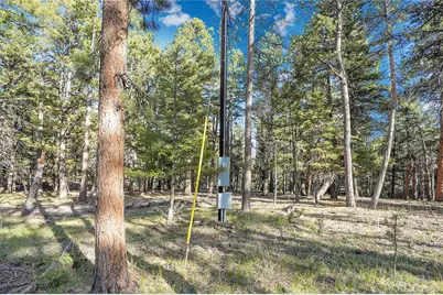 Molly Dr, Lot #3, Conifer, CO 80433 - Photo 7