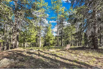Molly Dr, Lot #3, Conifer, CO 80433 - Photo 9