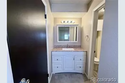 954 S Miller Street, Denver, CO 80226 - Photo 7