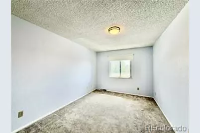 954 S Miller Street, Denver, CO 80226 - Photo 13