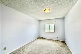 954 S Miller St, Denver, CO 80226 - Photo 13