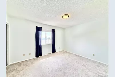 954 S Miller Street, Denver, CO 80226 - Photo 9