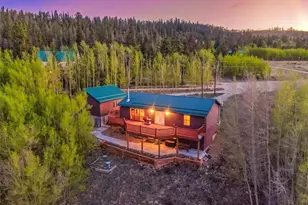 169 Fen Ct, Fairplay, CO 80440 - Photo 41