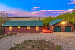 169 Fen Ct, Fairplay, CO 80440 - Photo 7