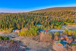 169 Fen Ct, Fairplay, CO 80440 - Photo 43