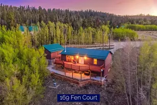 169 Fen Ct, Fairplay, CO 80440 - Photo 1