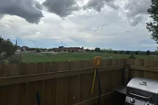 9031 Apache Plume Dr, Parker, CO 80134 - Photo 25