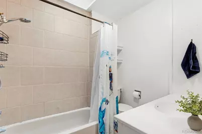 324 S Logan Street, Denver, CO 80209 - Photo 29
