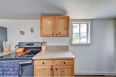 520 Chestnut Street, Leadville, CO 80461 - Photo 19
