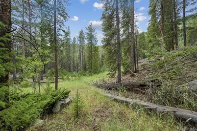 001 Fall River Road, Idaho Springs, CO 80452 - Photo 19