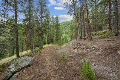 001 Fall River Road, Idaho Springs, CO 80452 - Photo 13