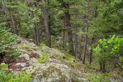001 Fall River Road, Idaho Springs, CO 80452 - Photo 11