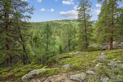 001 Fall River Road, Idaho Springs, CO 80452 - Photo 1