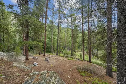 001 Fall River Road, Idaho Springs, CO 80452 - Photo 7