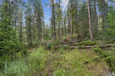 001 Fall River Road, Idaho Springs, CO 80452 - Photo 9