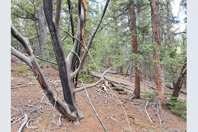 1844 High Creek Road, Fairplay, CO 80440 - Photo 9