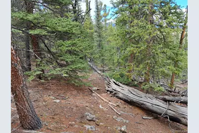 1844 High Creek Road, Fairplay, CO 80440 - Photo 13