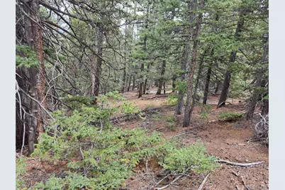 1844 High Creek Road, Fairplay, CO 80440 - Photo 3