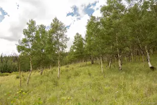 1001 County Rd 17, Lake City, CO 81235 - Photo 17