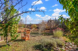 10040 W 13th Pl, Lakewood, CO 80215 - Photo 23