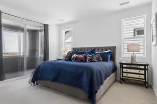 11988 Amplify Cir, Lone Tree, CO 80134 - Photo 11