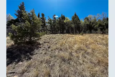 2348 Benton Place, Fort Garland, CO 81133 - Photo 19