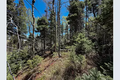 2348 Benton Place, Fort Garland, CO 81133 - Photo 15