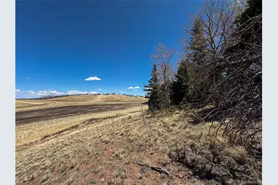 2348 Benton Place, Fort Garland, CO 81133 - Photo 21