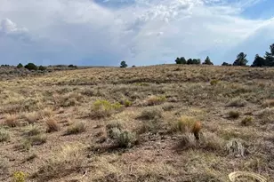 76760 Lewis Smith Rd, Fort Garland, CO 81133 - Photo 7