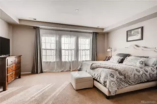 10480 Skyreach Rd, Highlands Ranch, CO 80126 - Photo 13