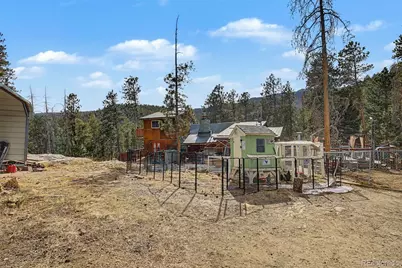 10116 Sprucedale Drive, Conifer, CO 80433 - Photo 41