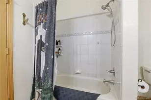 819 Hi Meadow Dr, Bailey, CO 80421 - Photo 21