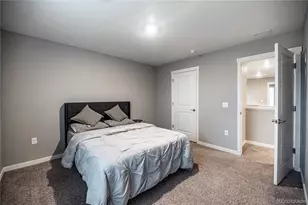 17308 Red Cosmos Pt, Parker, CO 80134 - Photo 29
