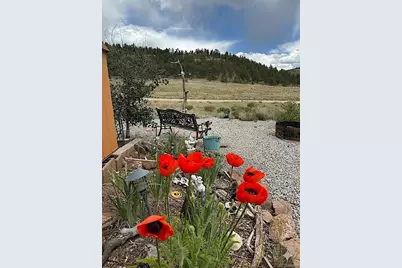 119 Water Tank Circle, Hartsel, CO 80449 - Photo 31