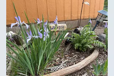 119 Water Tank Circle, Hartsel, CO 80449 - Photo 33