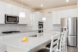 7376 S White Crow Wy, Aurora, CO 80016 - Photo 13