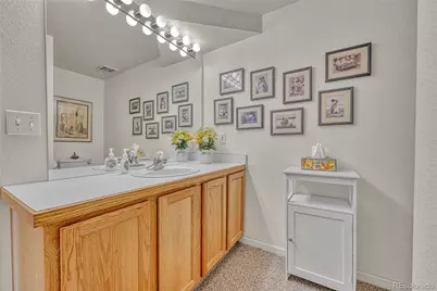 9247 Sugarstone Circle, Highlands Ranch, CO 80130 - Photo 33