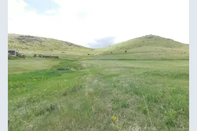 11972 Haskel Creek Road, Larkspur, CO 80118 - Photo 3