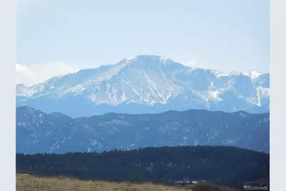 11972 Haskel Creek Road, Larkspur, CO 80118 - Photo 41