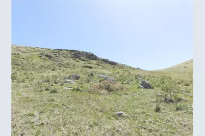 11972 Haskel Creek Road, Larkspur, CO 80118 - Photo 29