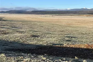 320 S Fork Way, Hartsel, CO 80449 - Photo 1