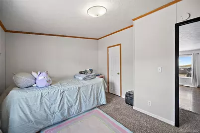 10385 Camino Grande Point, Fountain, CO 80817 - Photo 17