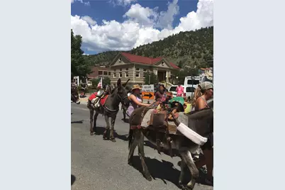 Philidelphia Silver Star, Idaho Springs, CO 80452 - Photo 21