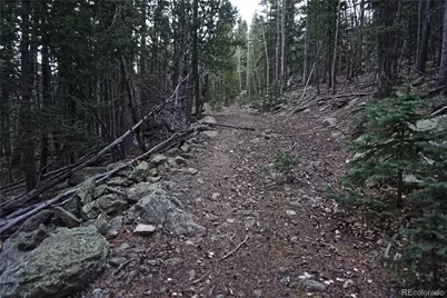 Philidelphia Silver Star, Idaho Springs, CO 80452 - Photo 7